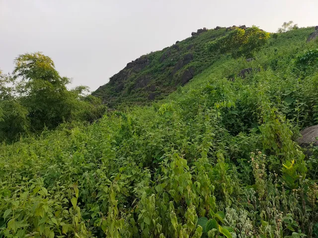 Baghbar Hill