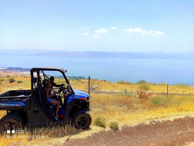 רייזר הגולן