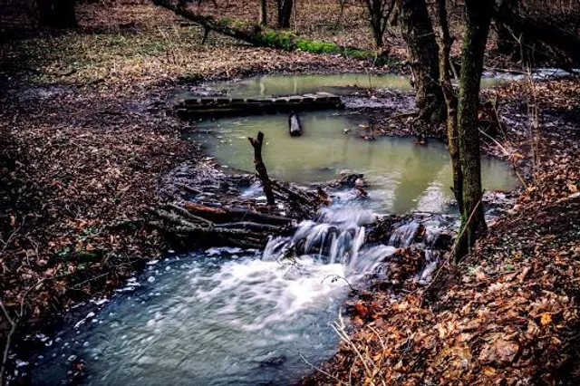 Királyrét Forest Railway