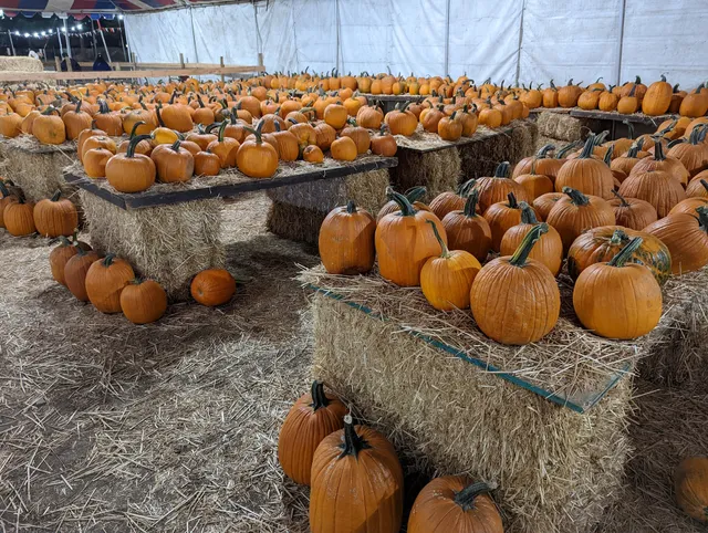 The Pumpkin Factory