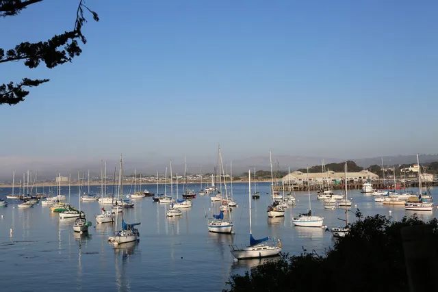 Monterey Bay Recreation Trail North-North West Seal Lions