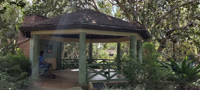 Plantation Heritage Park Duck Pond