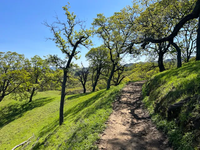Rancho San Vicente Open Space Preserve