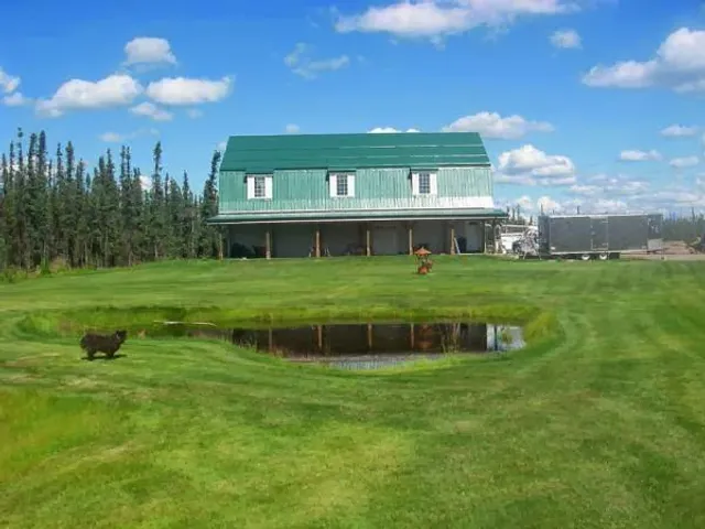 Three Dog Night Hostel