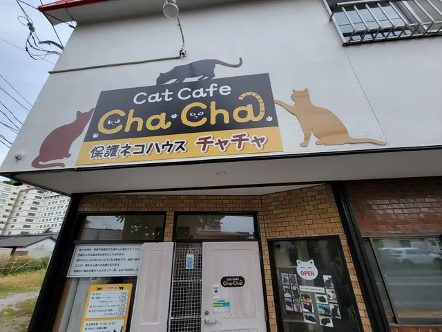 函館 保護猫カフェ チャチャ
