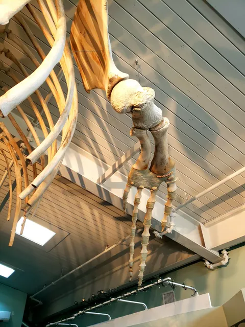 Center for Coastal Studies