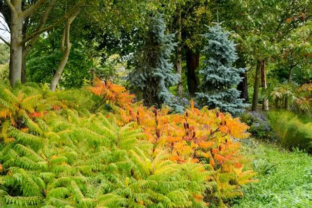 Bressingham Steam Museum & Gardens