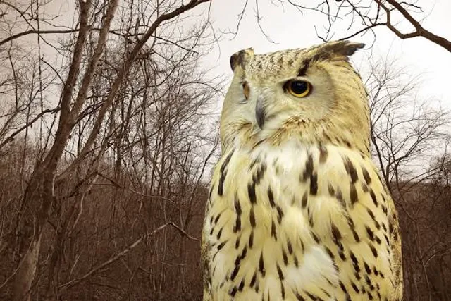 Výletné stredisko Katrenka