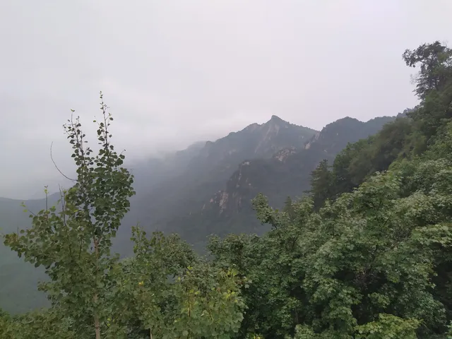 place image