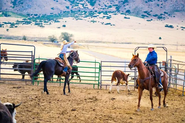 Albert Luthuli Local Municipality