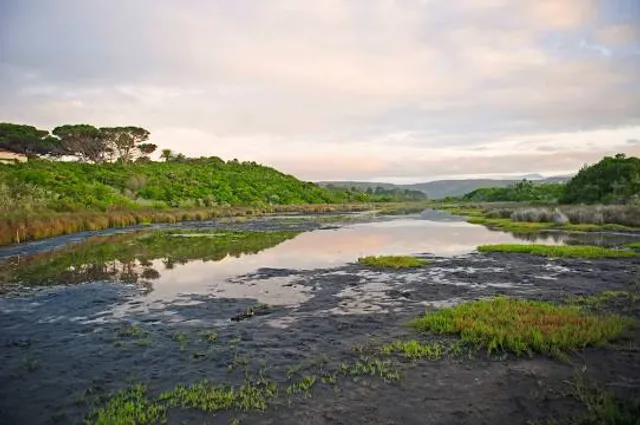 uMhlanga Lagoon Nature Reserve