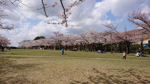 Narahara Park