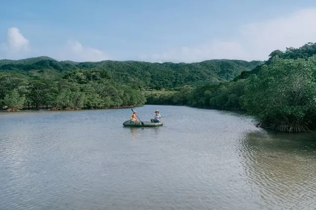 Fukidogawa Mangrove Community
