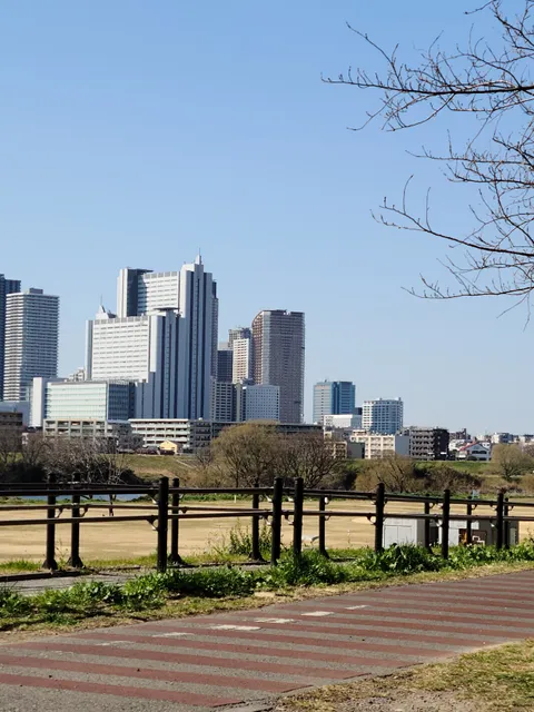 Tamagawa-ohashi Ryokuchi Park