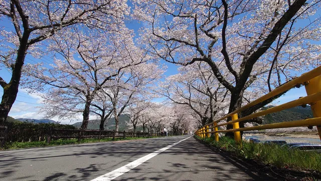 Ieyamagawa Ryokuchi Park
