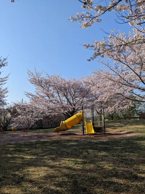 Chiba City Oyumino Akinomichi Park