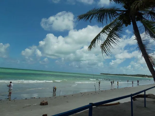 Enseada dos Golfinhos