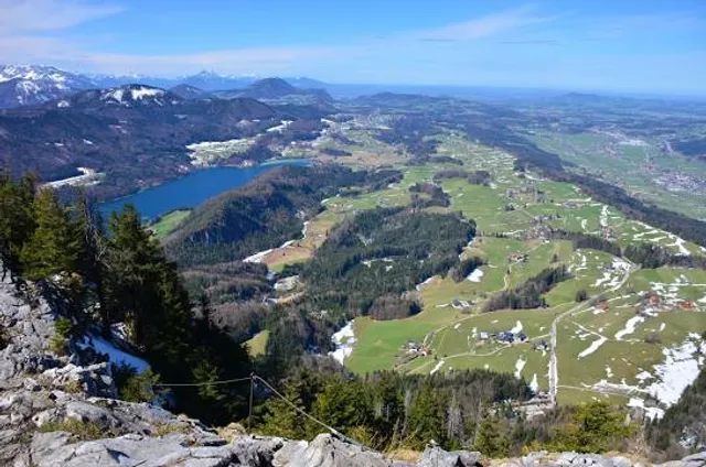 photo-1