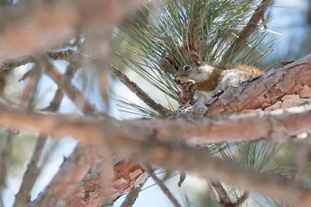 Bluegill Bay County Park
