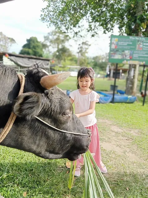 Aves World 农的传人