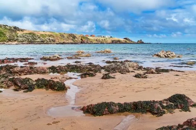 Coldingham Bay