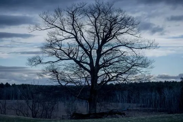 Mass Audubon's Wachusett Meadow Wildlife Sanctuary