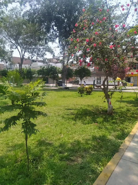 Parque Santa Anita