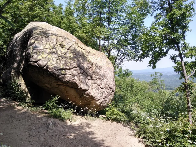 photo-2