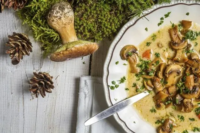 Miscaros - Festival do Cogumelo