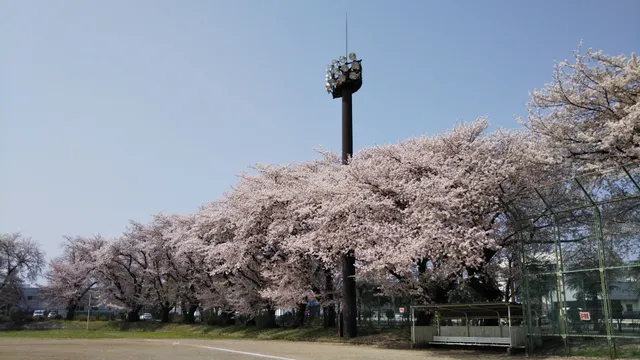 Shin-Sayama Park