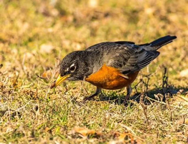 Kapıçam Nature Park