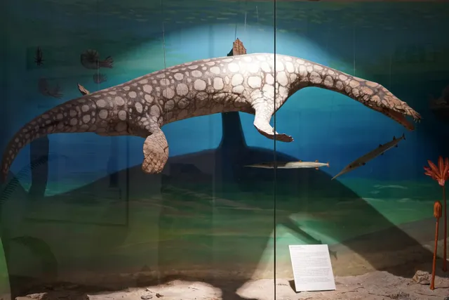 Geopark-Informationszentrum