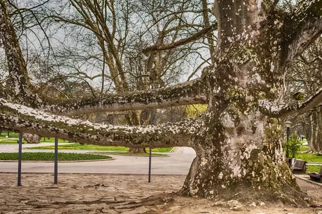 The Residence of Prince Miloš