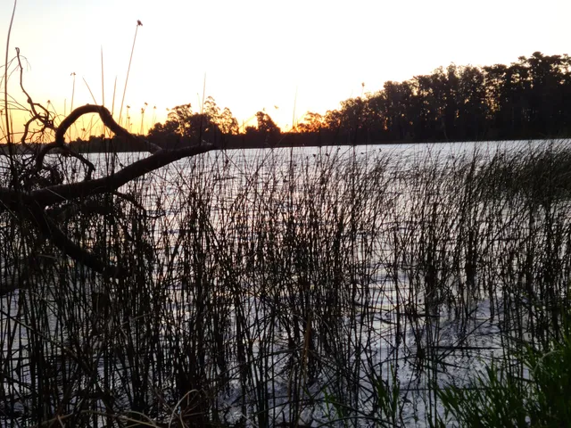 Laguna Grande De San Pedro Park