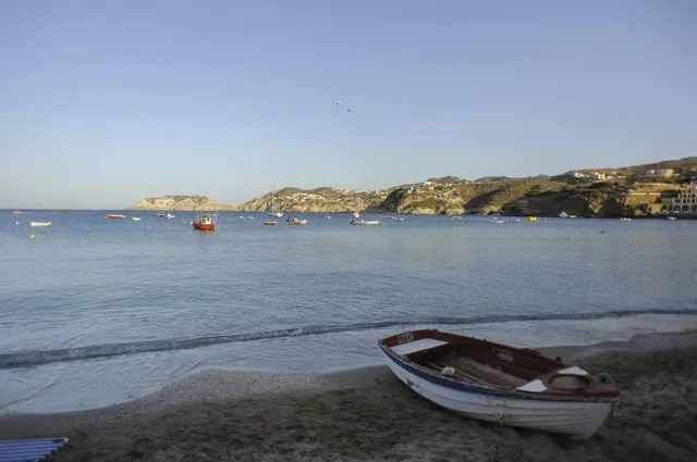 beach Parasfoungario