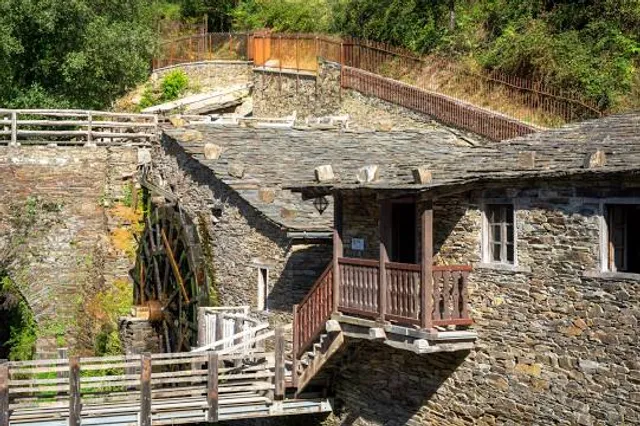 Mills Museum Mazonovo