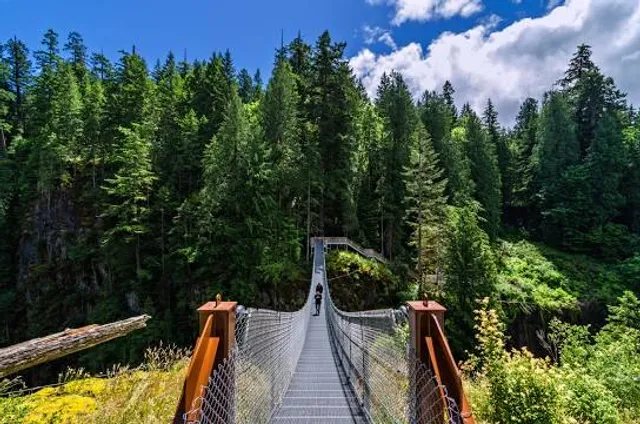 Puente colgante Lago Carezza