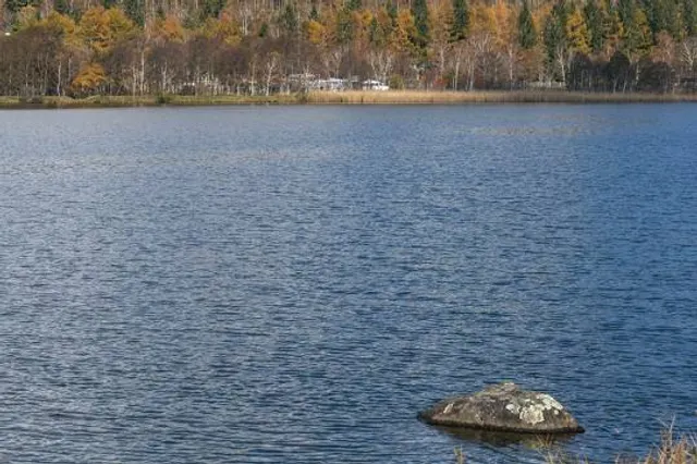 photo-3