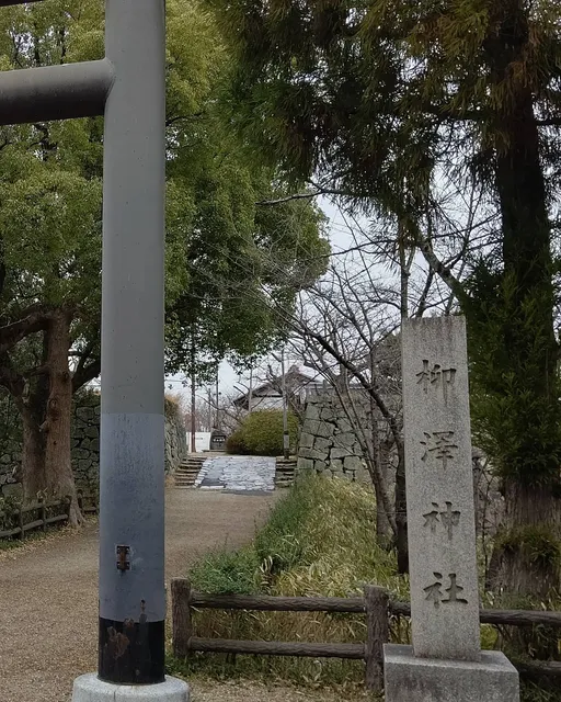 photo-1