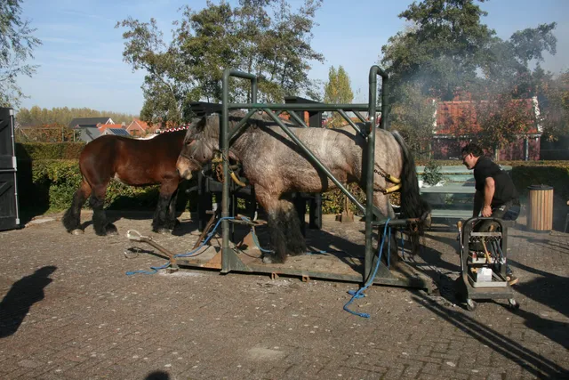 Streekmuseum "The Meestoof '