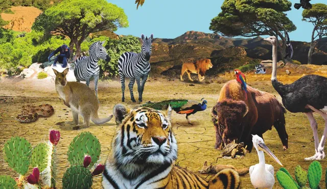 Parc Zoologique de Fréjus