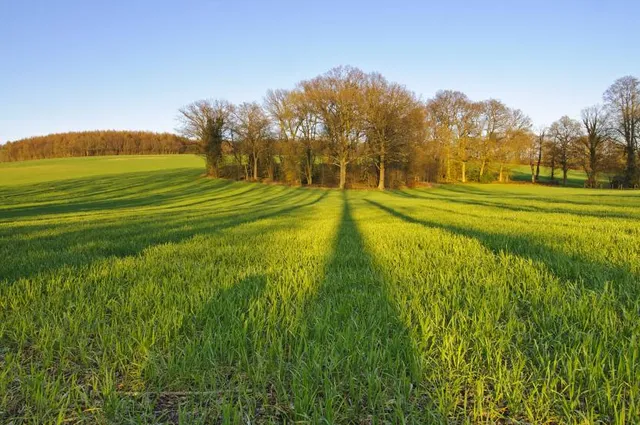 Chorleywood House Estate Car Park