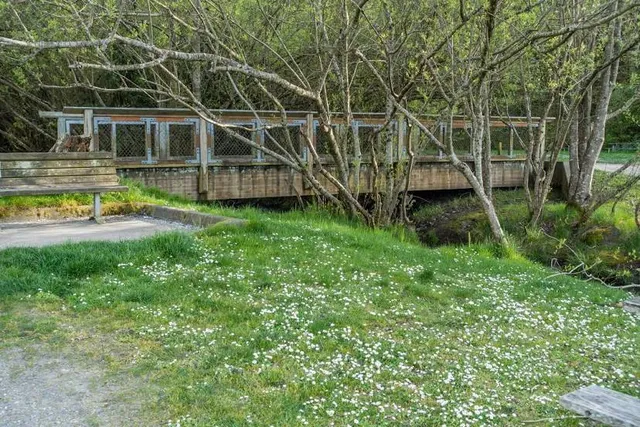 Dash Point State Park