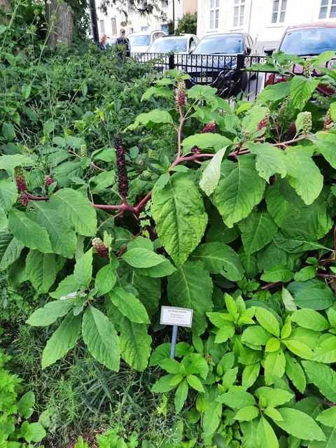 photo-1