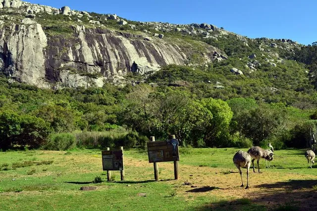 Reserva de Flora y Fauna del Pan de Azúcar