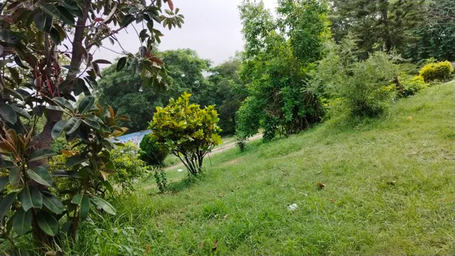 Birsa Munda Park Restaurant