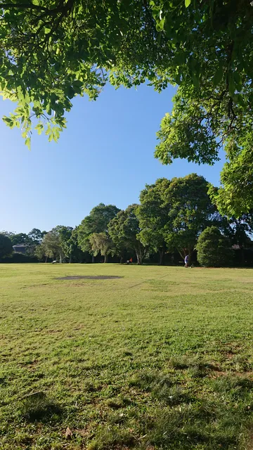St Ives Village Green