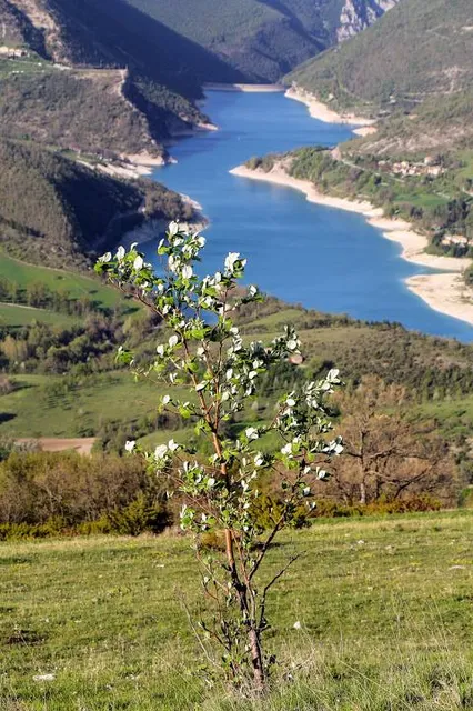 Belforte del Chienti