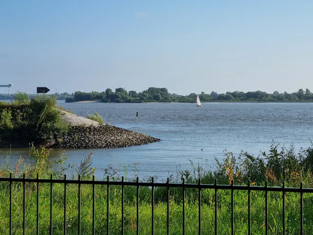 Waldpark Falkenstein