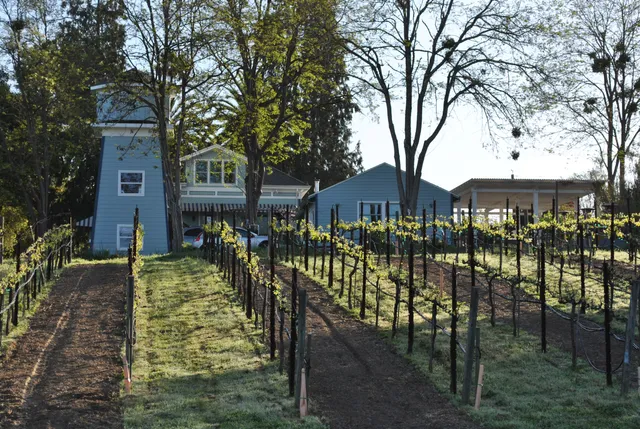 Kobler Estate Winery